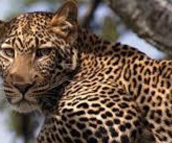South Africa cultural private tours