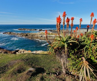 South Africa gardens tour