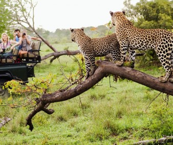 South Africa customized luxury tours