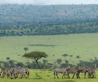 Kenya Eco-lodge accommodation