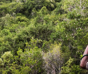 Kenya national Parks tours