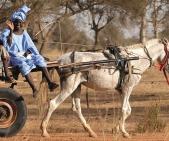 Senegal overland group tours