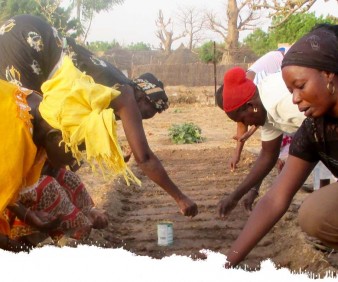 Senegal cultural tours