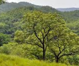Ghana Safari and tours