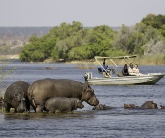 Okavango delta tours and expeditions