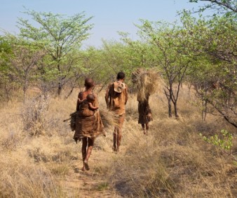 Botswana bushmen tours and expeditions