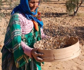 Tunisia backpacker tours