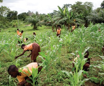 agriculture tours to Mauritania