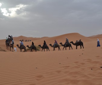 Small group camel tour in Morocco