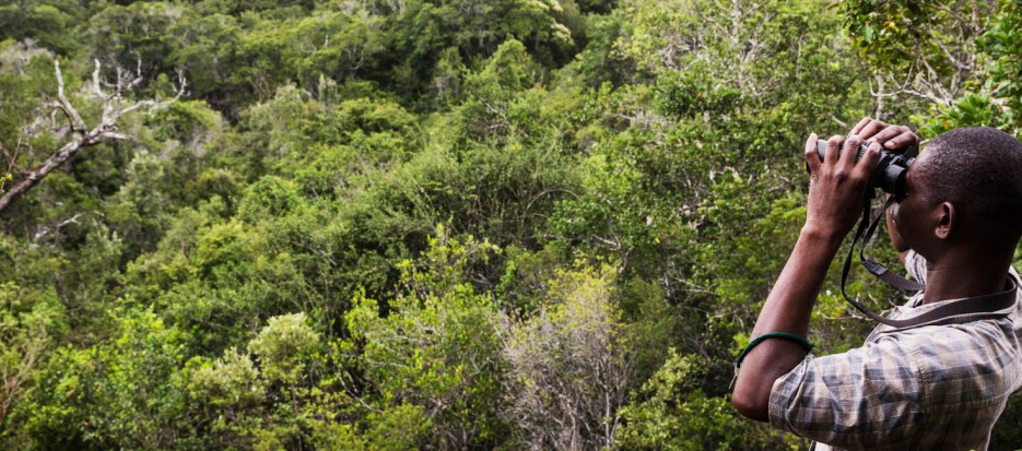 Private Kenya tours and Safari