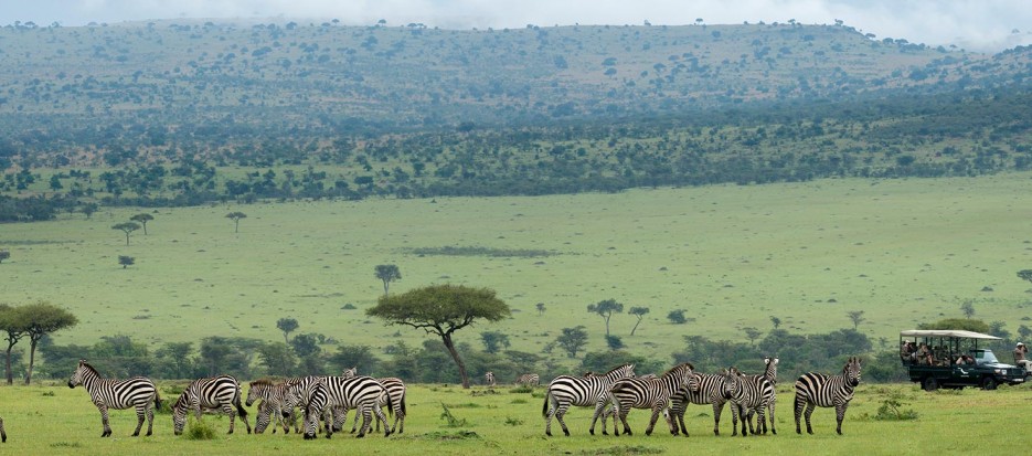 Safari and wildlife viewing in Kenya and Tanzania