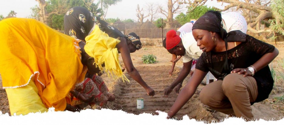 Senegal group heritage tours