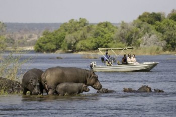 Botswana budget safari and tours