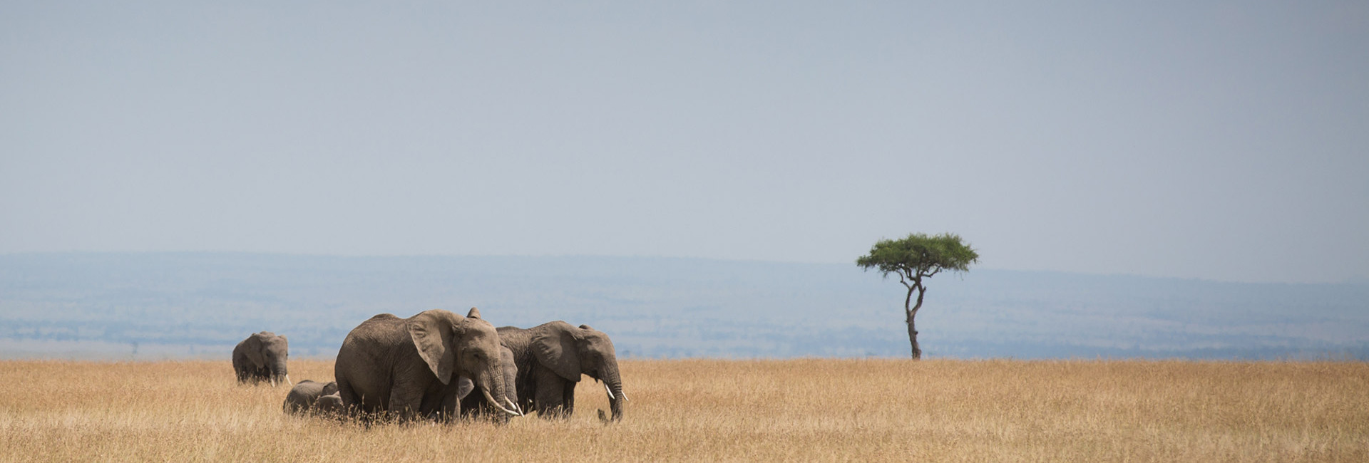 Kenya group Tours and expeditions
