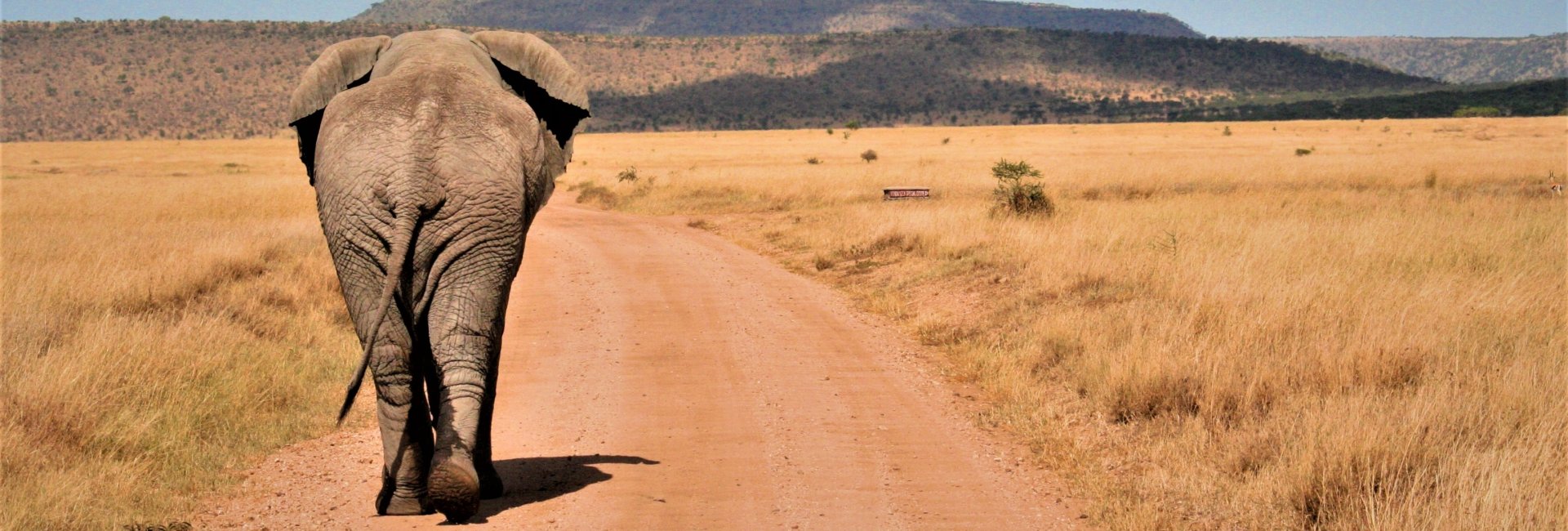 Tanzania small group tours