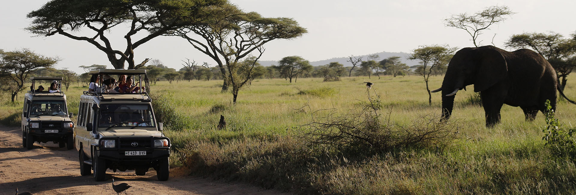 Zambia Group and private Tours